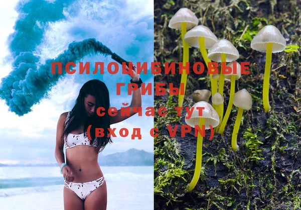 тгк Баксан