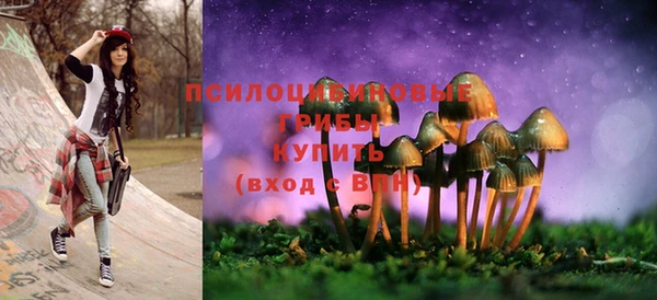 тгк Баксан
