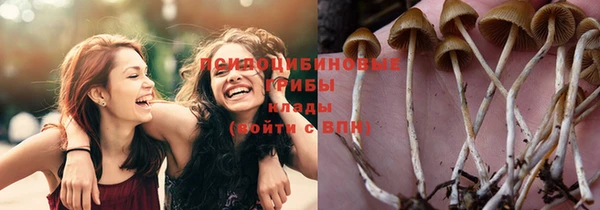 прущая мука Балабаново