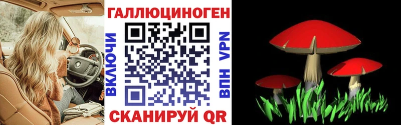 Галлюциногенные грибы Psilocybine cubensis купить закладку OMG как зайти Краснокаменск